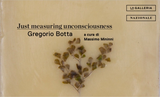 Gregorio Botta - Just measuring uncosciousness